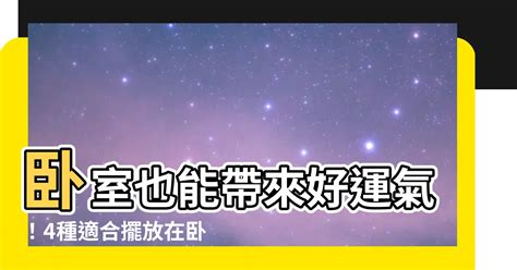 房間適合放什麼花|2024年精選20種室內植物人氣推薦！同場加映帶來好風水植物的5。